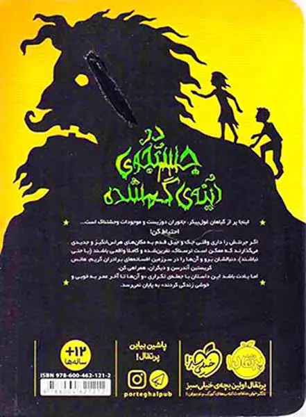در جستجوی آینه ی گمشده